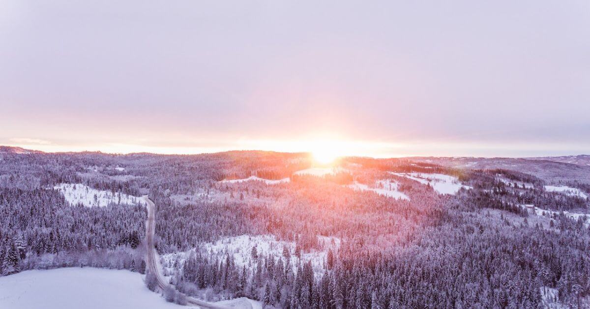 aerial-photo-of-forest-in-the-winter-247 self storage - rv-storage-for-winter