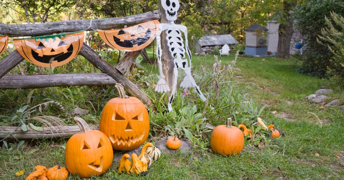 Halloween decorations including a pumpkin and a skeleton - 247 Self Storage self storage